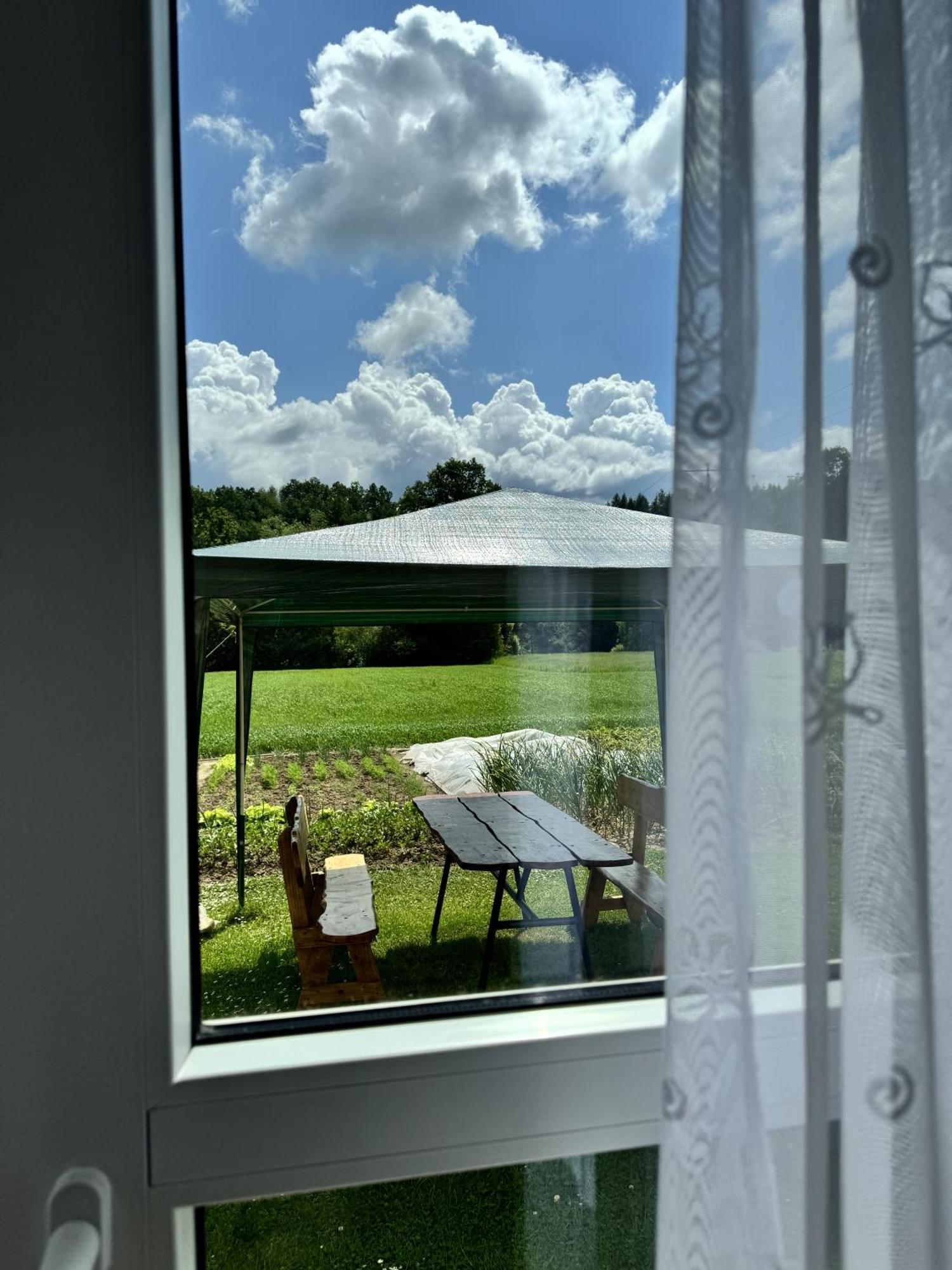 Kwatera Studio Hoczew Exteriör bild